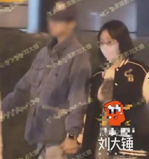 刘大锤最新爆料回归视频,回归视频背后的精彩故事