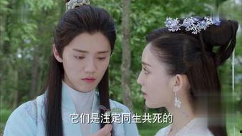择天记在线观看,穿越奇幻世界，探寻命运之谜