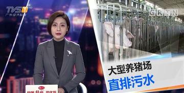 今日一线》爆料,揭秘娱乐圈惊人内幕！