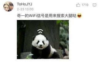 青姐爆料熊猫视频下载,熊猫视频下载攻略，轻松获取萌态瞬间！