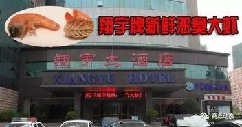 央视爆料南阳大饭店视频,引发公众关注