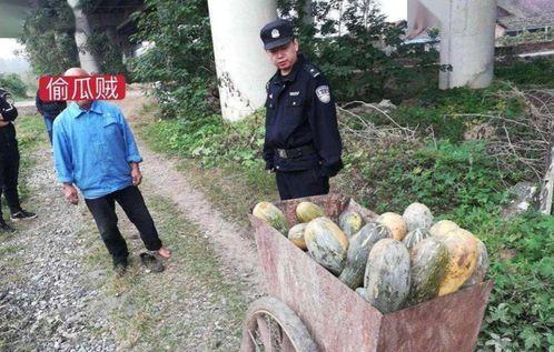 江山网红吃瓜事件