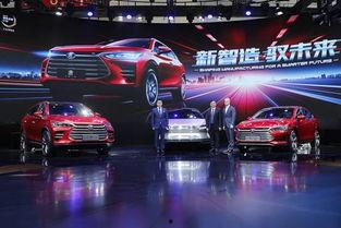 比亚迪高管爆料最新情况,新能源汽车产业变革与未来展望
