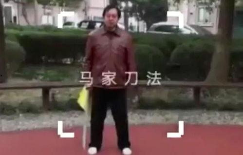 马黑爆料最新视频,事件真相与幕后黑手浮出水面