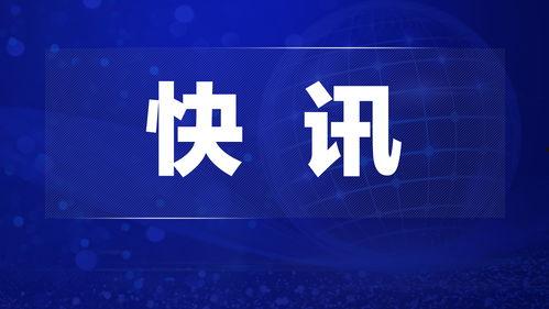 焦点访谈新闻爆料电话,独家爆料电话背后的真相