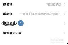 精彩小视频爆料群聊,热门话题与幕后故事一网打尽