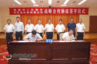 云南中石油最新爆料,揭秘能源巨头的新动向与挑战