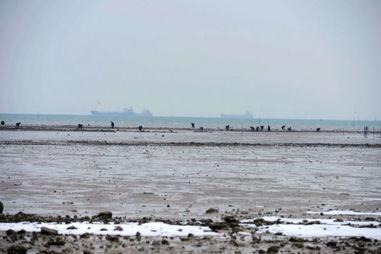 青岛海滩水泥爆料事件视频