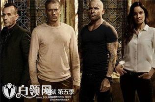 越狱第五季 在线 观看,惊心动魄的逃狱传奇再续篇章