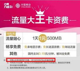 大王爆料视频下载免费,免费下载视频背后的秘密