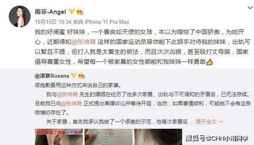 所长夫人爆料视频在线观看,揭秘事件背后惊人真相