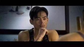 鸭王2在线观看神马,神马奇遇记——奇幻冒险，笑料横生！