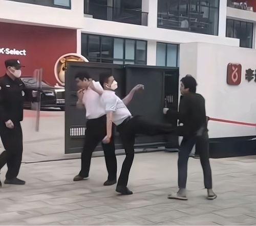 网红打架爆料视频播放,网络暴力事件引发热议