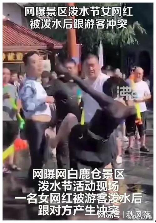 网红打架爆料视频播放,网络暴力事件引发热议