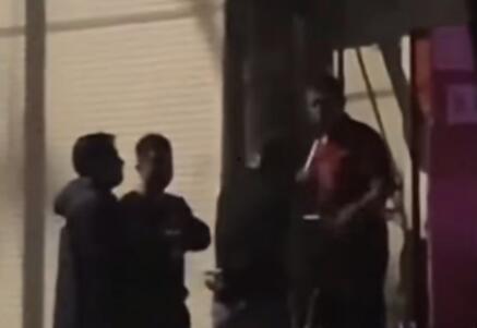 网红打架爆料视频播放,网络暴力事件引发热议