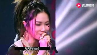 龙哥娱乐爆料视频在线观看,揭秘热门视频幕后真相