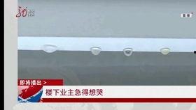 法治新闻爆料内容是什么,揭露事件真相，捍卫公平正义