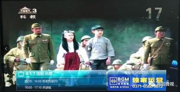 南阳电视台新闻爆料,揭露当地民生问题背后的真相