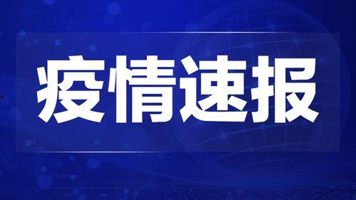 福鼎热点爆料新闻最新,真相即将揭晓！