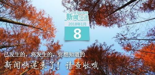 爆料中山新闻最新消息,最新爆料揭示重大事件进展