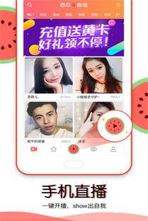 吃瓜视频下载免费软件,吃瓜视频免费软件下载攻略
