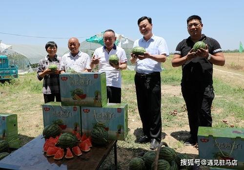 小粽吃瓜日记在线观看免费,揭秘网络热点的幕后故事