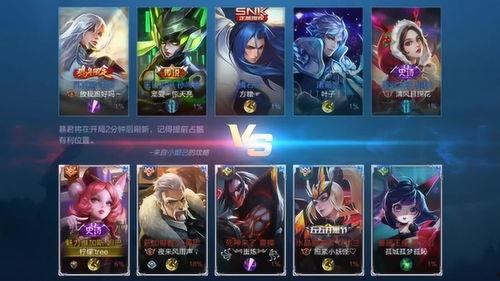 王者爆料小狐狸视频网,小狐狸视频网背后的秘密与精彩瞬间