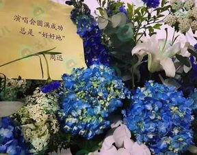 花篮网最新爆料视频,最新爆料视频深度解析