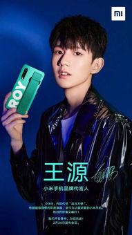 内部人员爆料王源视频,王源私密视频曝光，真相揭秘