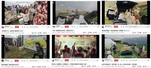晓鼎爆料视频在线观看,揭秘幕后真相，带你走进事件核心