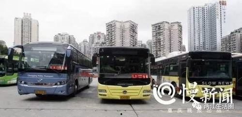 重庆公交圈爆料视频,揭秘公交司机日常与乘客互动瞬间
