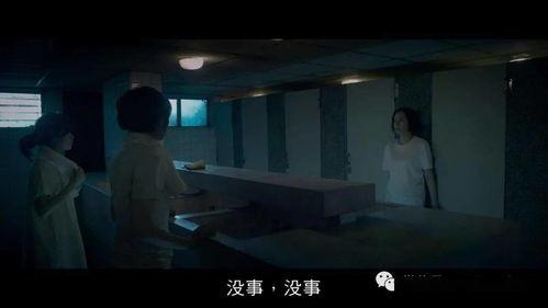 学生失踪神秘人爆料视频,失踪学生背后惊人真相