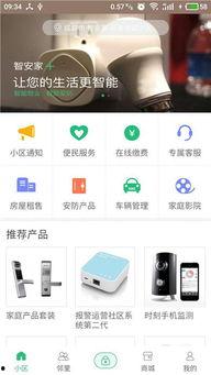 安家手机在线观看,揭秘房产中介的奋斗与温情