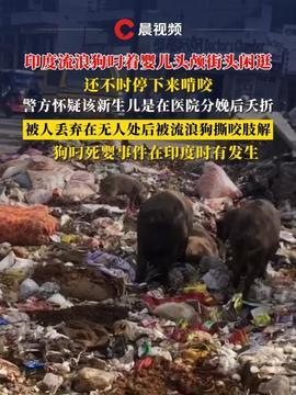 幸存者爆料缅甸视频大全,幸存者亲述惊心动魄的真实事件视频集锦