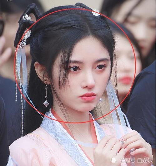 圈内大爆料白鹿,圈内大爆料，揭开神秘面纱