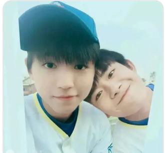 圈内大爆料白鹿,圈内大爆料，揭开神秘面纱