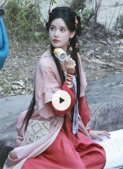 圈内大爆料白鹿,圈内大爆料，揭开神秘面纱