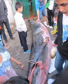 山东工商学院爆料新闻,揭秘校园内幕事件