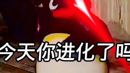 热点爆料中秋搞笑视频,笑翻你的节日瞬间