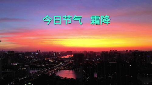 今日头条拍客爆料,揭秘XX事件背后惊人真相！