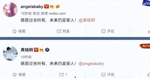 爆料娱乐圈大事,揭秘明星背后的惊人真相！