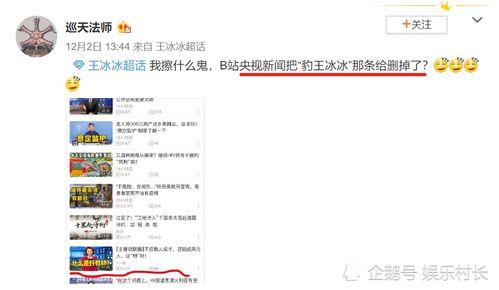 央视爆料王冰冰视频播放,央视揭露王冰冰视频播放背后真相