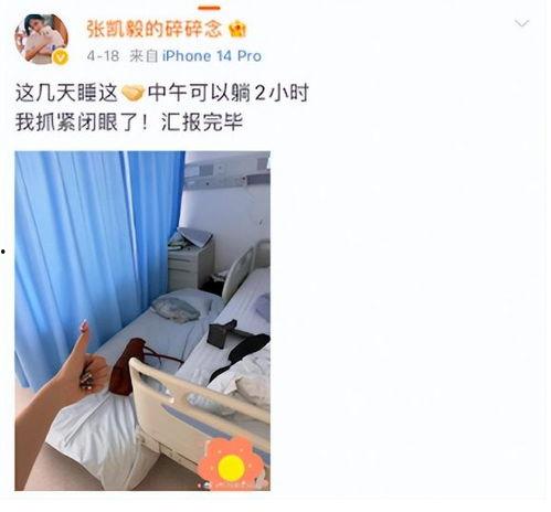 张凯毅男朋友爆料视频是真的吗,张凯毅男友爆料视频真实性揭秘