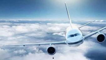 天涯爆料新飞机事故视频,天涯爆料视频揭示惊心动魄一幕