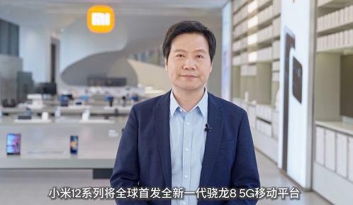 刘萌爆料丁志诚视频大全,真相与争议全解析