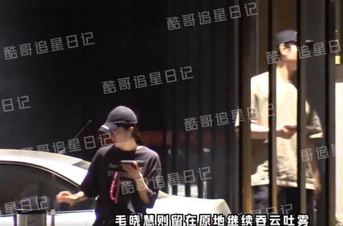 晓慧爆料视频在线观看,揭秘幕后真相，带你走进事件核心
