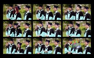 老狼公社在线观看,探寻网络直播的神秘世界