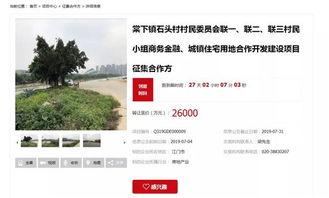 石头镇最新爆料消息今天,今日最新爆料事件全解析