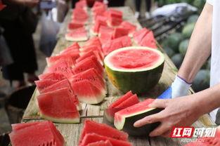 划拳免费吃瓜,免费瓜分欢乐盛宴