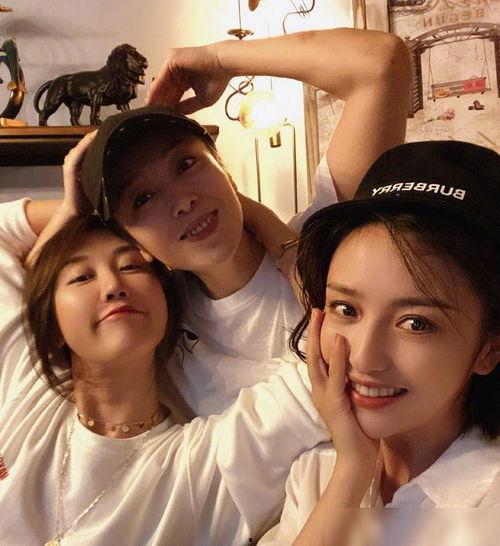 无耻狗仔爆料视频大全集,揭秘娱乐圈幕后真相